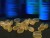 VIDEO: New lawsuit claims some supplements are tainted with dangerous PCBs.