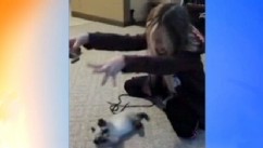 VIDEO: Cat Mimics Girl, Baby Snuggles Kitten