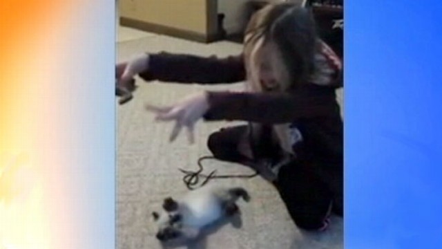 Video: Cat Mimics Girl, Baby Snuggles Kitten