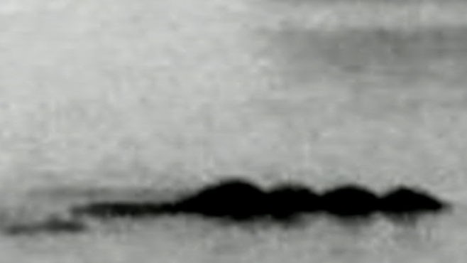VIDEO: Bow-nessie Caught on Tape