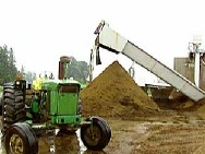 Manure