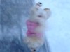 VIDEO: Dog vs. Dog: Molly Walks on Front Legs