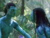 Video Sample