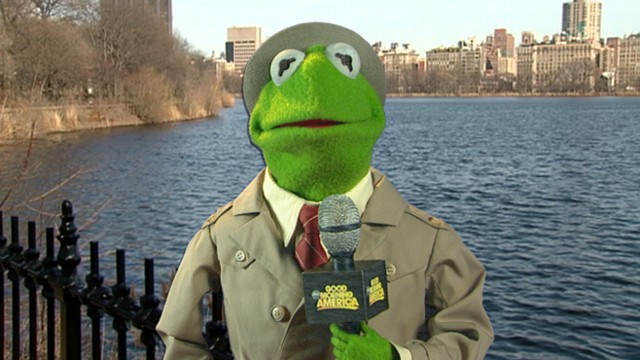 Image result for kermit reporter