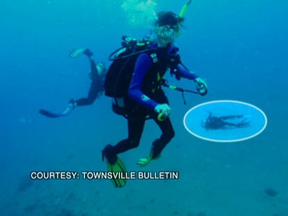 scuba