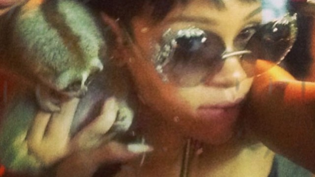 VIDEO: A photo of the singer with an endangered primate led to Thai officials arresting two young men.