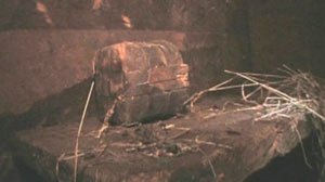 Finding Noahs Ark: Hong King Filmmaker Claims to Have Found Pieces Biblical Treasure
