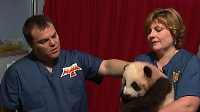 VIDEO: The voice behind the animated Kung Fu Panda goes to the Atlanta Zoo.