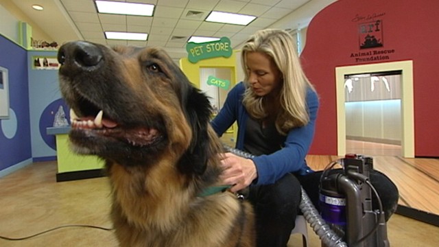 VIDEO: Becky Worley tries out products designed to make pet clean-up a little easier.