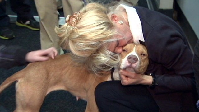 VIDEO: Bazi Kanani investigates efforts to find homes for thousands of displaced animals.