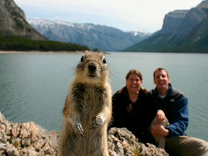 VIDEO: Sometimes Mother Nature has her own way of improve photography.