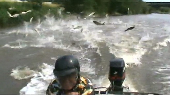 VIDEO:Asian carp are a looming threat to the Great Lakes 7 billion fishing industry.