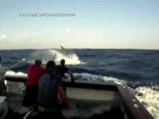 Watch: Giant Black Marlin Jumps on Boat in YouTube Video