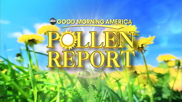VIDEO:  'Good Morning America' Pollen Report