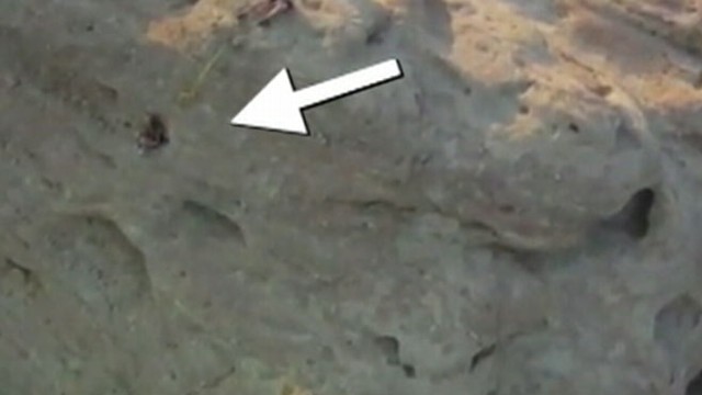 VIDEO: Helmet-cam captures rescue of a hiker in Californias Topanga State Park.