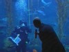 Shark Tank Marriage Proposal