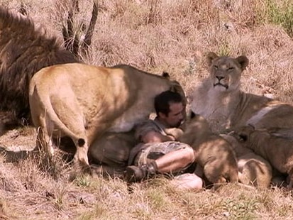 VIDEO: Kevin Richardson and Dave Salmoni embark on their own missions to save lions.