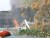 VIDEO: Taliban militants stormed a guest house used by U.N. staff, killing 12 people.