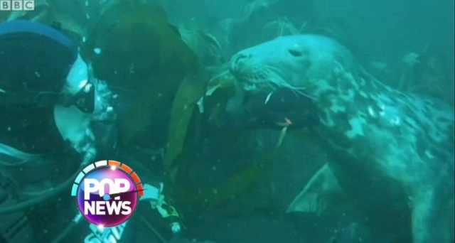 Jamie Gallacher, 15, was greeted by a friendly seal off the coast of Isle of Man.