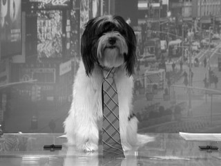 'GMA' Silent Movie Magic