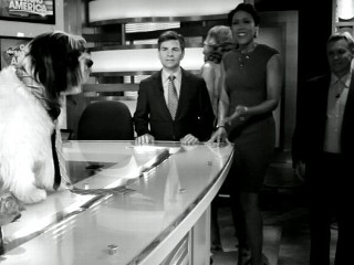 'GMA' Silent Movie: 'The Good Morning'