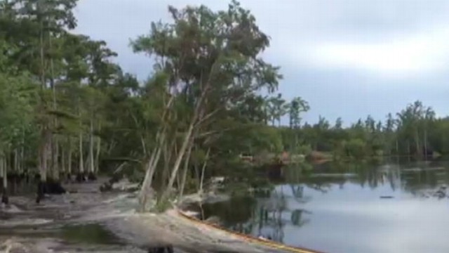 VIDEO: Louisiana Sinkhole Swallows Trees in Seconds