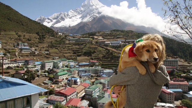 VIDEO:Rupee joined his master Joanne Lefson on the worlds highest peak.