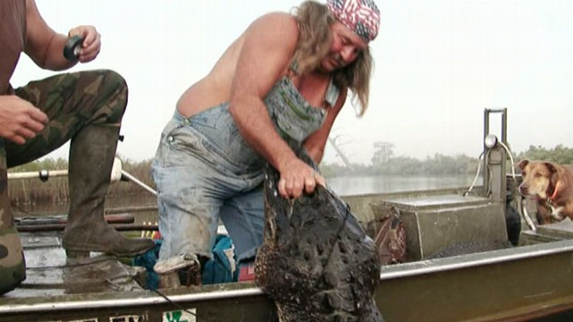 VIDEO: Reality-TV show follows a family of hunters making a living trapping alligators.