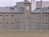 Video Sample