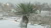 VIDEO: Snow In Houston