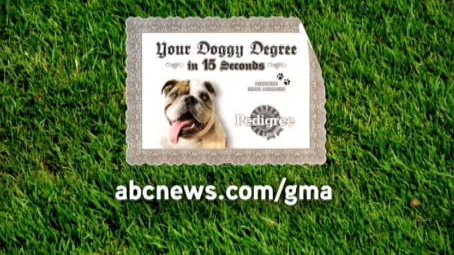 VIDEO: Find out how many times you should give your dog a bath.