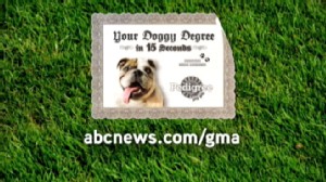 how often should you give your a bath tip of the day how often should you give your a bath abc news how often should you give your a bath tip of the day how often should you give your a bath abc news