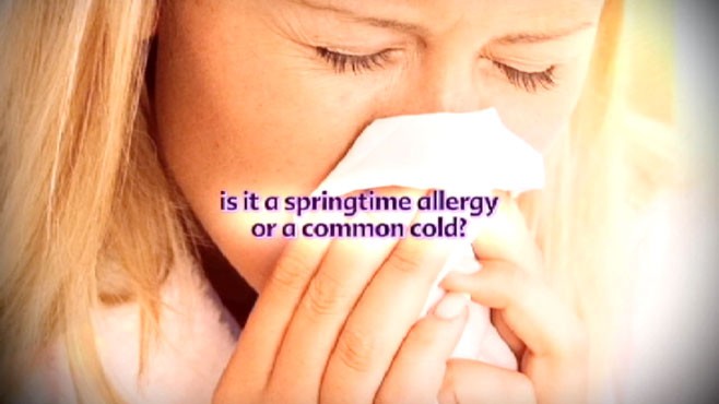VIDEO: How to tell the difference between a springtime allergy and the common cold.