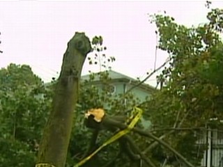 Watch: East Coast Ravaged by Wild Weather