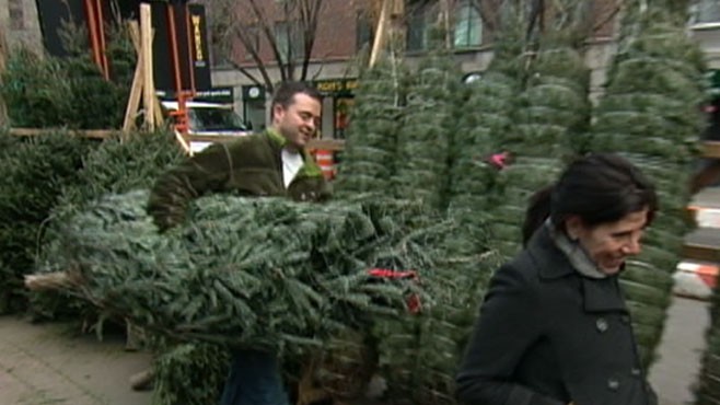 VIDEO: Online Christmas Trees