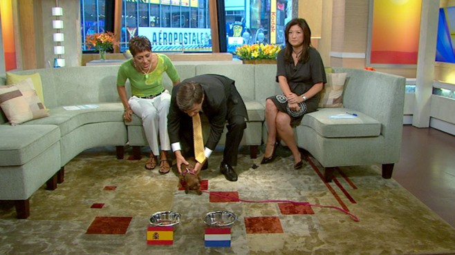 VIDEO: Can George Stephanopoulos' dachshund correctly predict the World Cup winner?