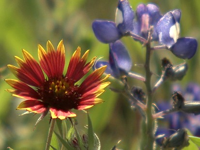 VIDEO: Weekend Window to Central Texas