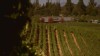 VIDEO: Visit Sonoma Wine Country
