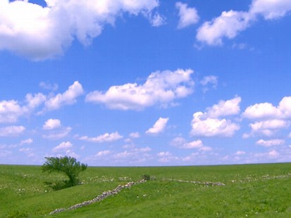 VIDEO: The Beautiful Tallgrass Prairie National Preserve