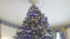 VIDEO: The History of the White House Christmas Tree