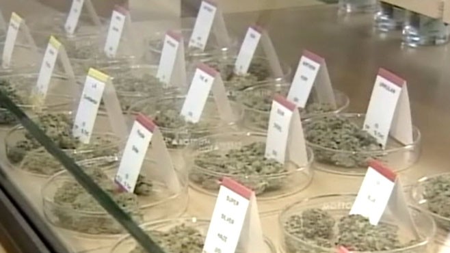 VIDEO: Proposition 19 would allow the state to regulate recreational pot use.