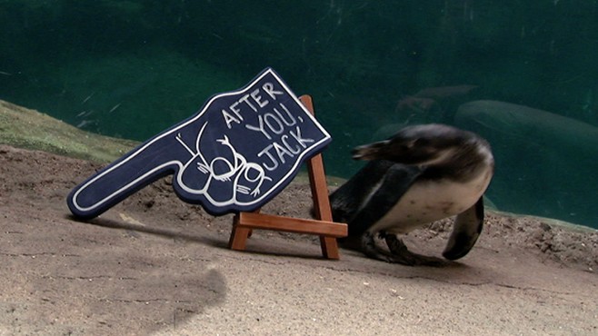 VIDEO: Star animals at the Columbus Zoo share their feelings in three words.
