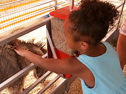 VIDEO: Health Safety Tips at the Petting Zoo