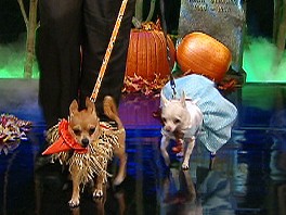 Howl-O-Ween