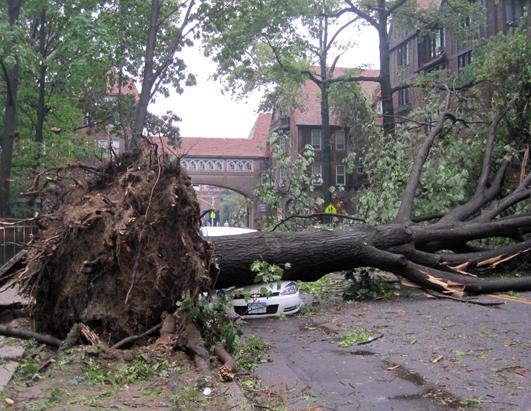 Stormy Weather: New York