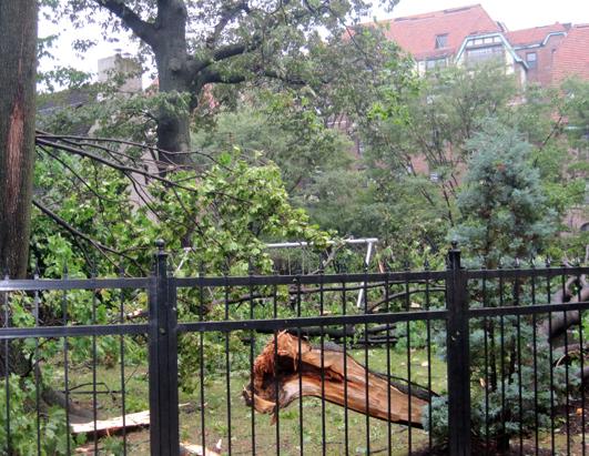 Stormy Weather: New York
