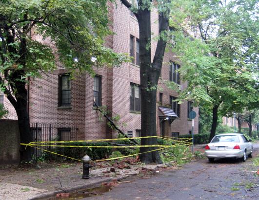 Stormy Weather: New York