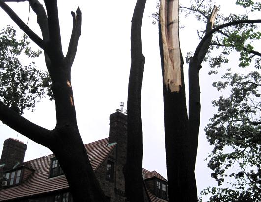 Stormy Weather: New York