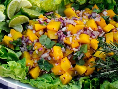 Rocco DiSpirito's recipe for a mango salad perfect for your summer picnic.