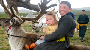 Reindeer Herders in Mongolia